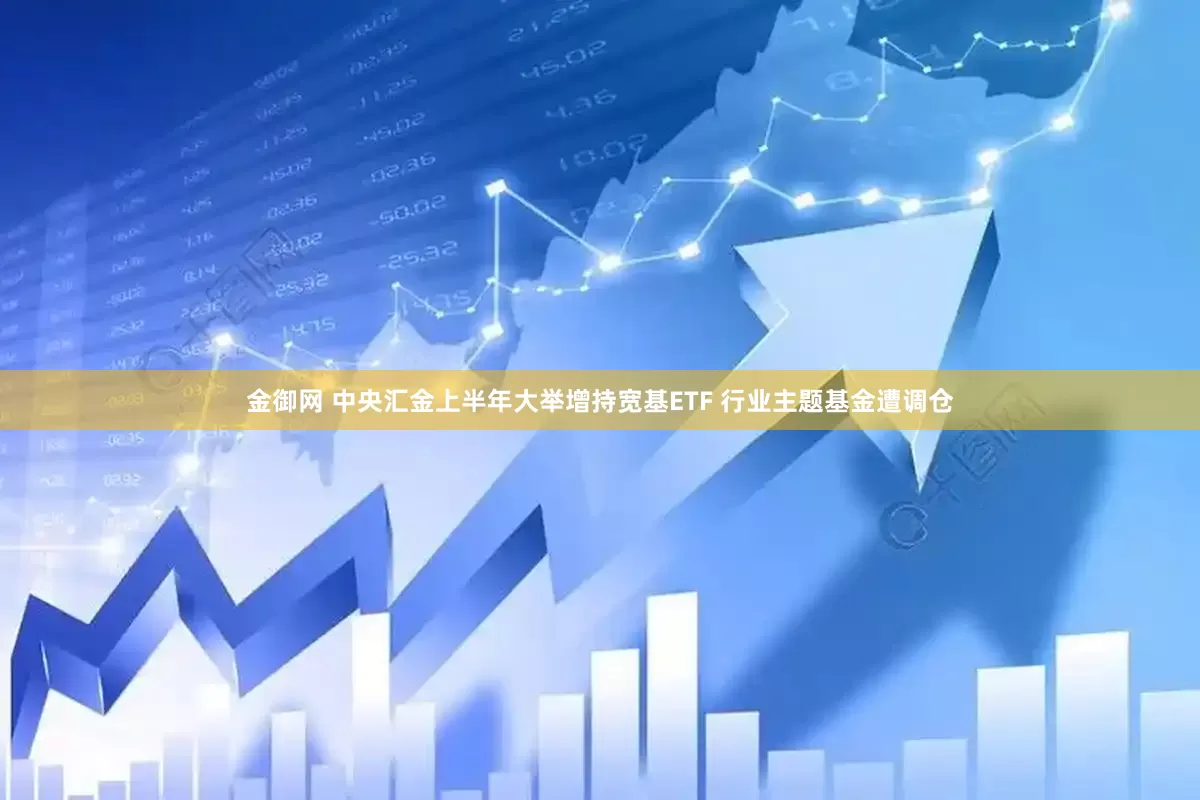 金御网 中央汇金上半年大举增持宽基ETF 行业主题基金遭调仓