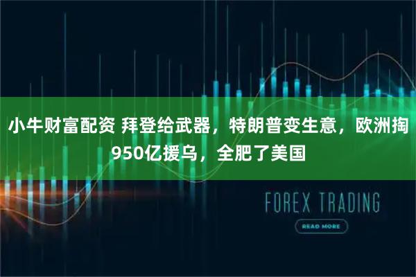 小牛财富配资 拜登给武器，特朗普变生意，欧洲掏950亿援乌，全肥了美国