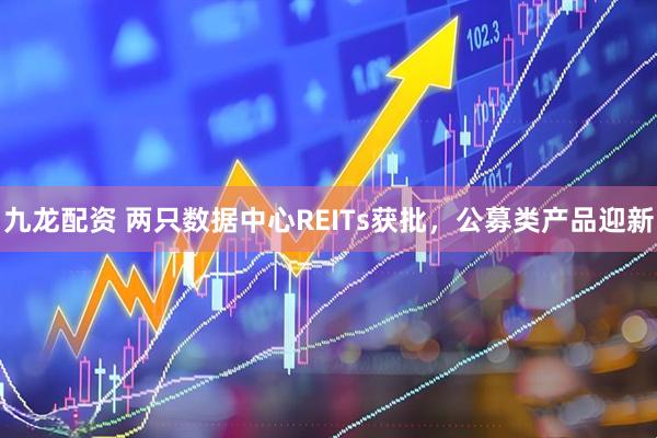 九龙配资 两只数据中心REITs获批，公募类产品迎新