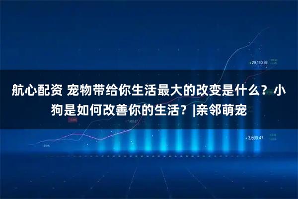 航心配资 宠物带给你生活最大的改变是什么？小狗是如何改善你的生活？|亲邻萌宠